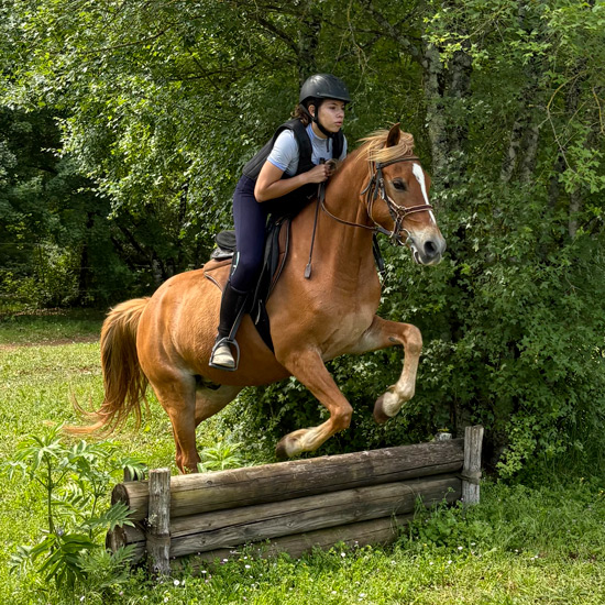 Poney-Club